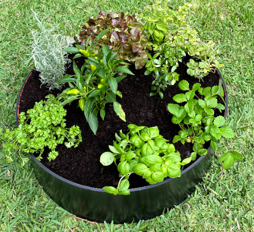 raised garden bed circle -recycled plastic