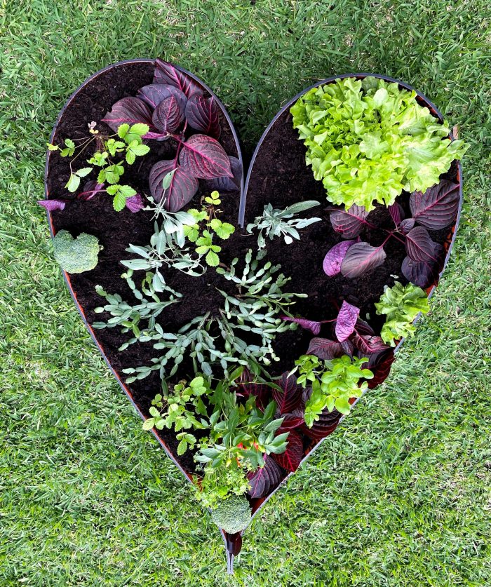 Garden Bed Plastic Heart