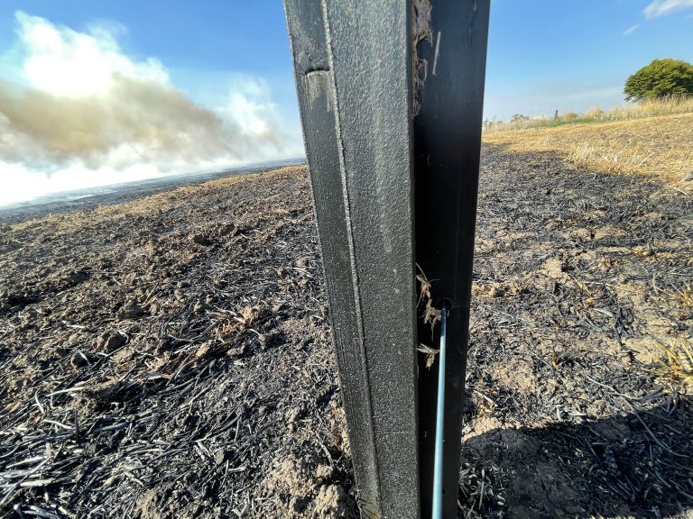 PLUS Post 110mm X 110mm Plastic Forests   After The Fire At 13 Months Rods Farm 5  768x576 