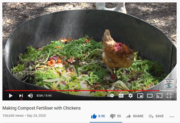 Making Compost Fertiliser with Chickens