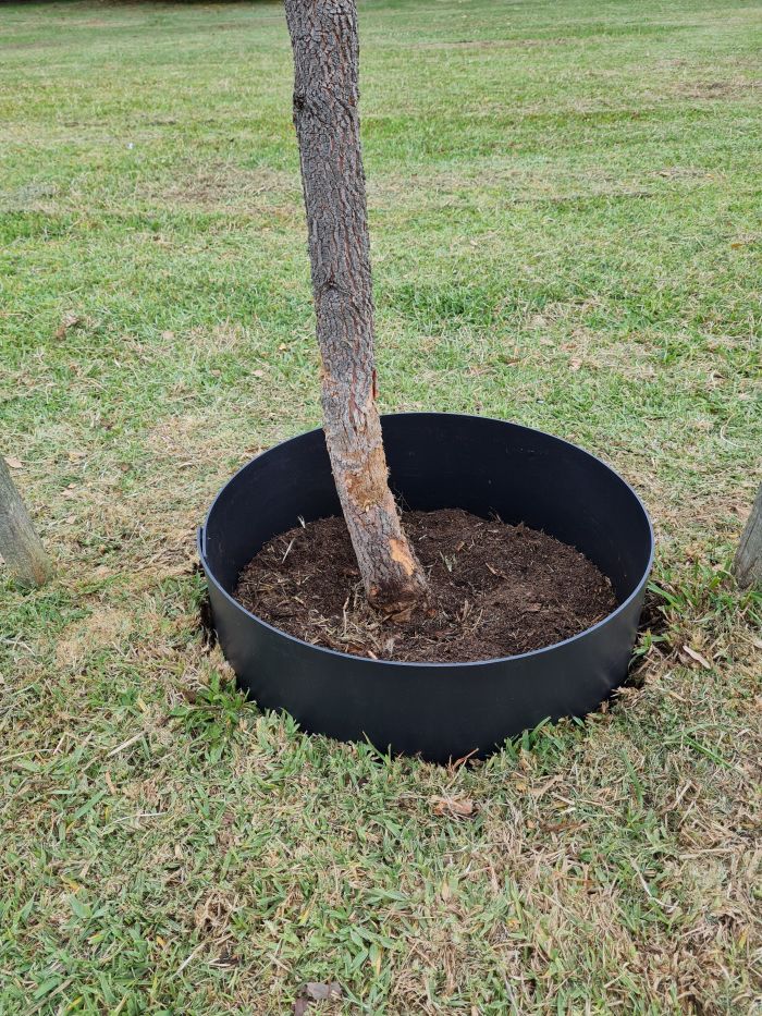Water Saver Tree Surround Heavy Duty 3mm- Plastic Forests