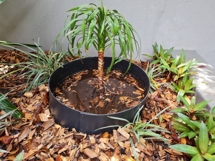 Water Saver Tree Surround Heavy Duty 3mm- Plastic Forests, recycled plastic