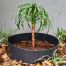 Water Saver Tree Surround Heavy Duty 3mm- Plastic Forests