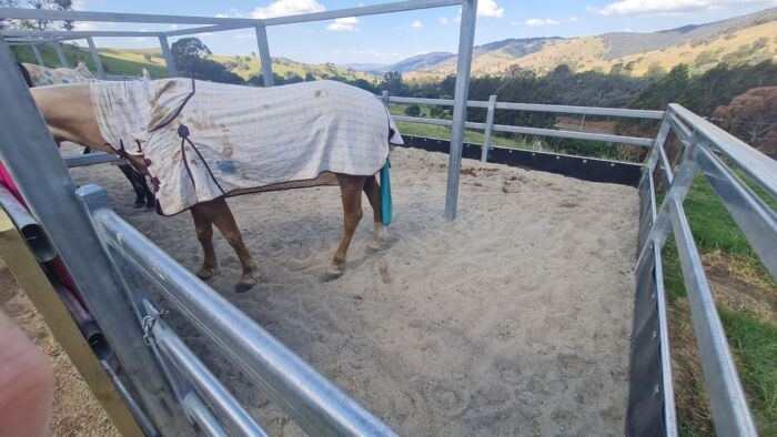 Horse Arena Edging - Black - 300mm high x 5mm thick - Recycled Plastic - Image 24