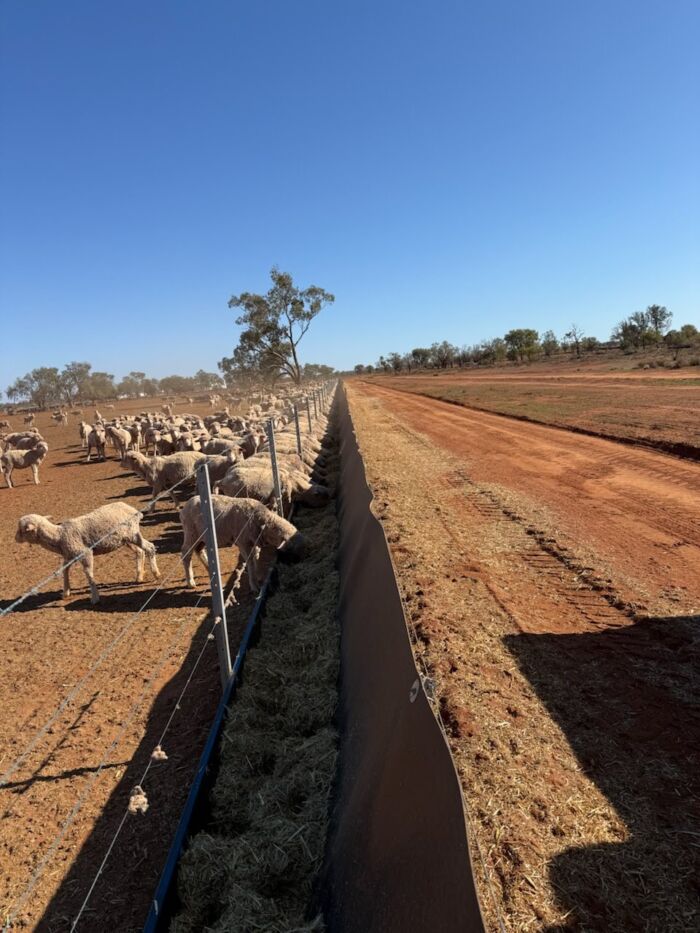 Poly Sheet / Poly Barrier /Stockyard Sheeting (2mm, 3mm, 5mm thickness) - UV Stable - Recycled Plastic - Made in Australia - Up to 1500mm wide - Image 36