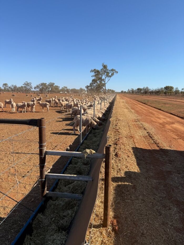 Poly Sheet / Poly Barrier /Stockyard Sheeting (2mm, 3mm, 5mm thickness) - UV Stable - Recycled Plastic - Made in Australia - Up to 1500mm wide - Image 35