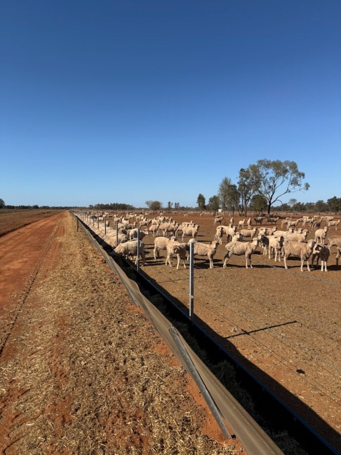 Poly Sheet / Poly Barrier /Stockyard Sheeting (2mm, 3mm, 5mm thickness) - UV Stable - Recycled Plastic - Made in Australia - Up to 1500mm wide - Image 34