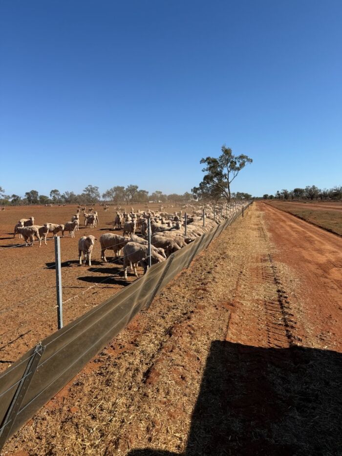 Poly Sheet / Poly Barrier /Stockyard Sheeting (2mm, 3mm, 5mm thickness) - UV Stable - Recycled Plastic - Made in Australia - Up to 1500mm wide - Image 37