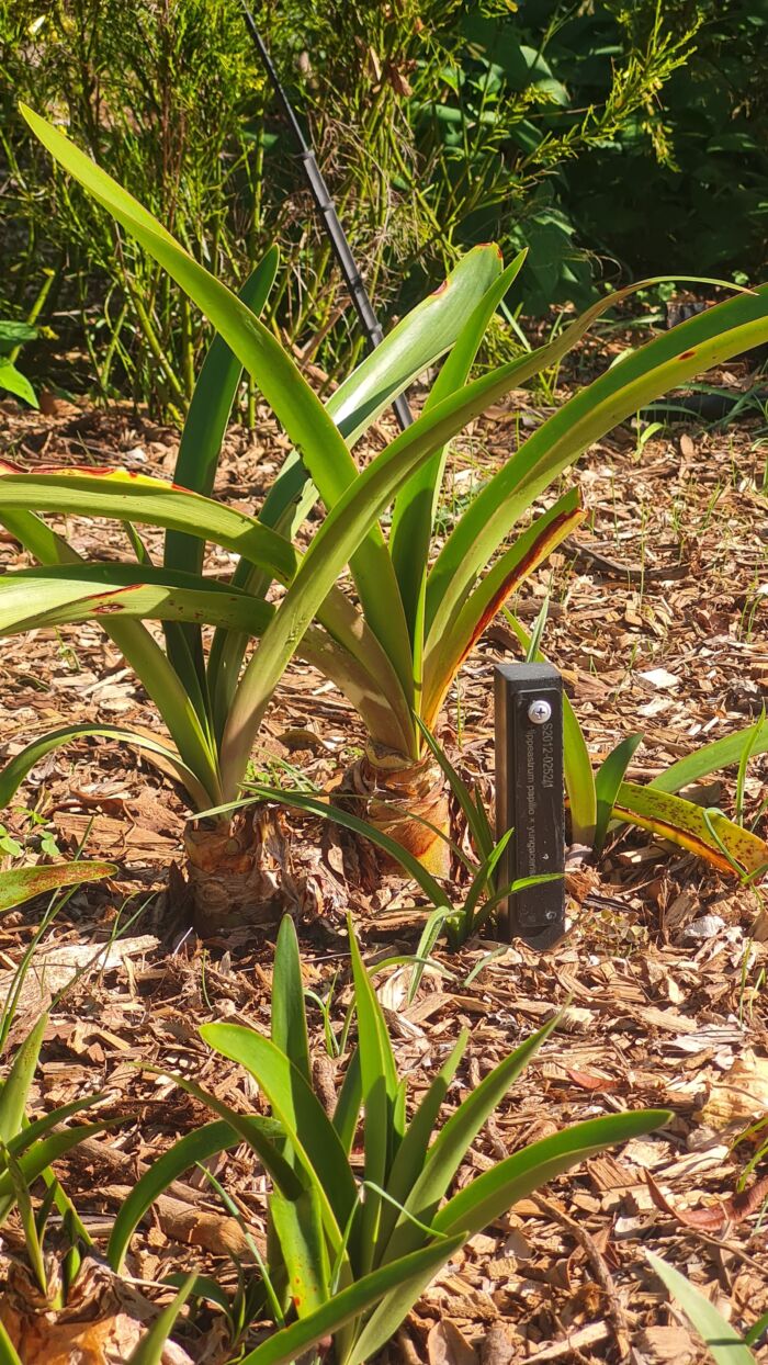 Garden Edging Pegs - SOLID Recycled Plastic - 300mm x 30mm x 25mm - Image 13