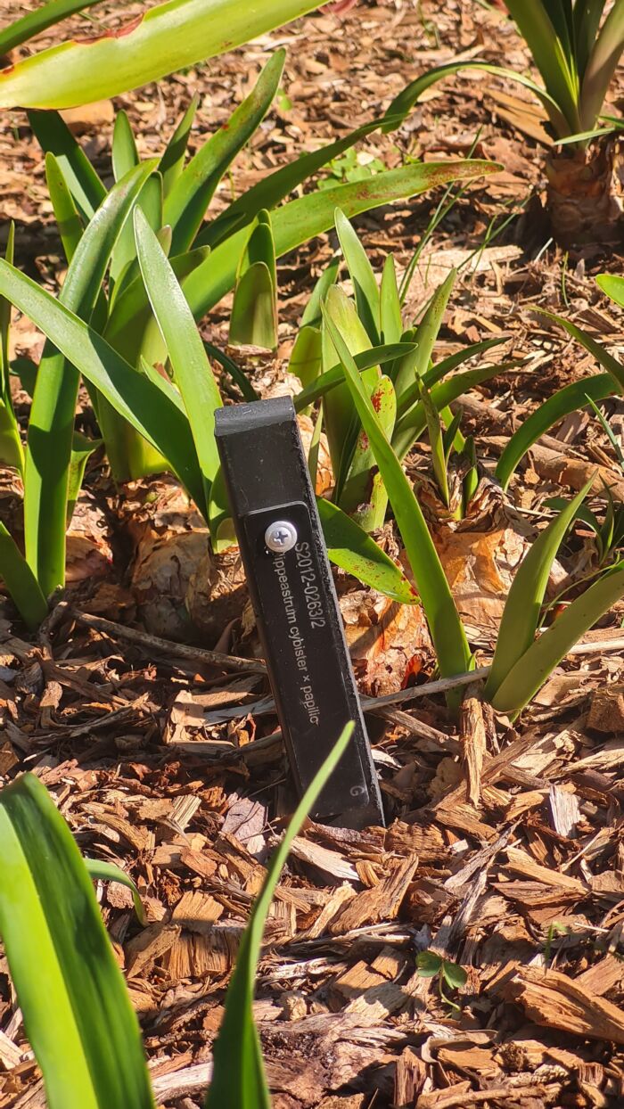 Garden Edging Pegs - SOLID Recycled Plastic - 300mm x 30mm x 25mm - Image 12
