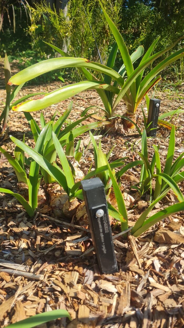 Garden Edging Pegs - SOLID Recycled Plastic - 300mm x 30mm x 25mm - Image 14